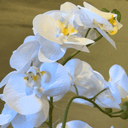 Artificial Phalaenopsis Orchid in Pot