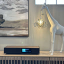 EVO All-in-One Entertainment System