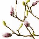Artificial Magnolia Blossom Bud Branch | Pink