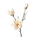 Artificial Cream Magnolia Blossom Stem