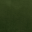 Amsterdam Velvet Rectangular Cushion | Vine Green