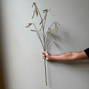 Artificial Catkins Branch