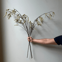 Artificial Catkins Branch