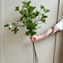 Artificial Enki Branch