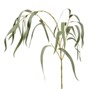 Artificial Eucalyptus Tall Stem