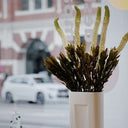 Artificial Leucadendron Stem