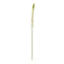Artificial Foxtail Lily Stem