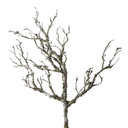 Artificial Coral Ghost Branch