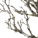 Artificial Coral Ghost Branch