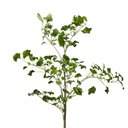 Artificial Gingko Leaf Branch