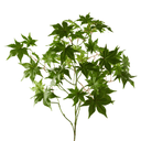 Artificial Japanese Maple Leaf Branch | Green