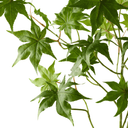 Artificial Japanese Maple Leaf Branch | Green