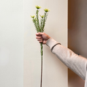 Artificial Leucadendron Stem MED
