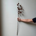 Artificial Spikey Chestnut Branch