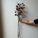 Artificial Spikey Chestnut Branch