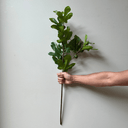 Artificial Tall Fig Leaf Branch