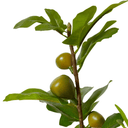 Artificial Tall Fig Leaf Branch