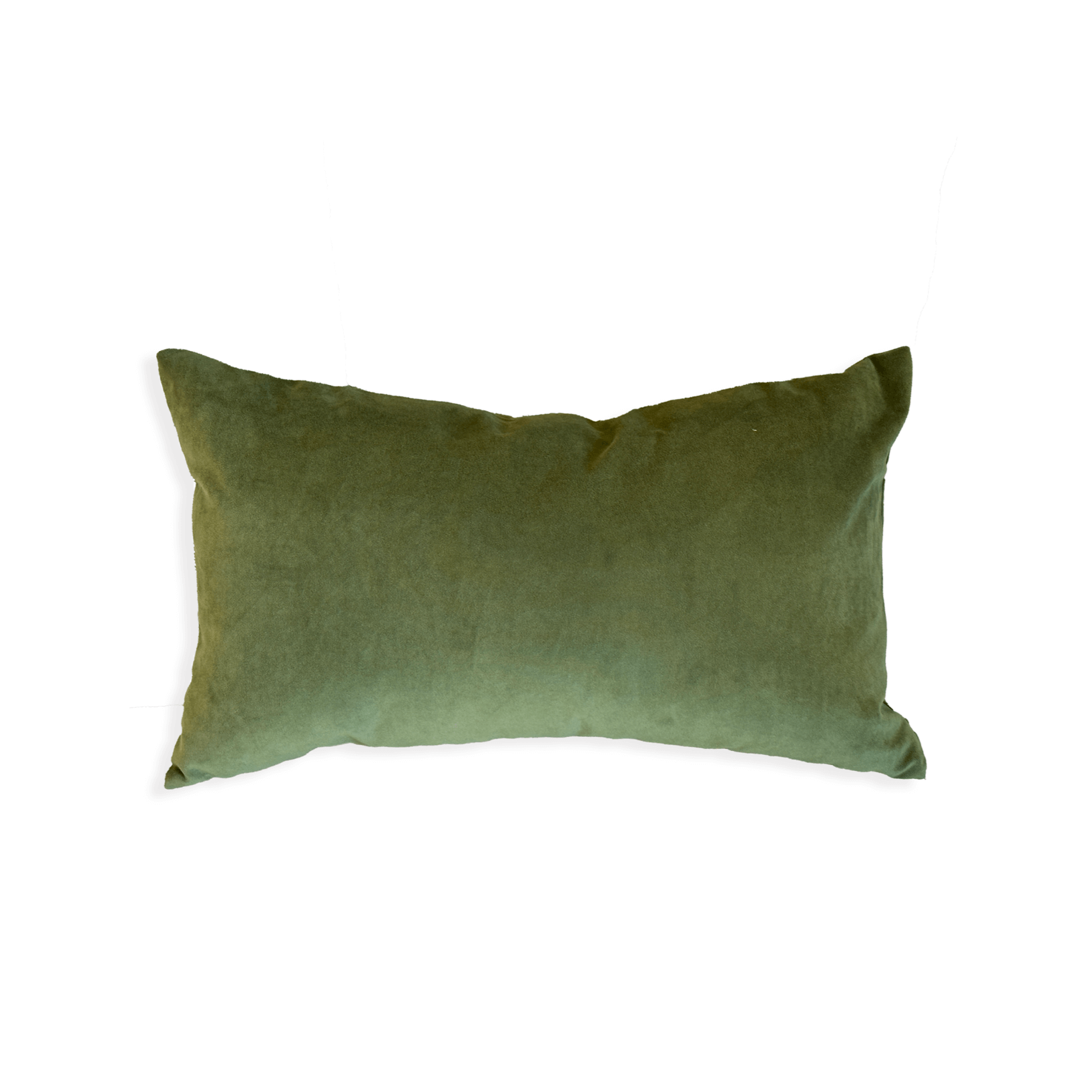 Amsterdam Velvet Rectangular Cushion Vine Green CLU Living Pty Ltd