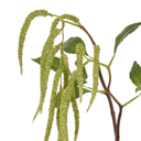 Artificial Amaranthus Spray