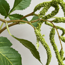 Artificial Amaranthus Spray