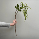 Artificial Amaranthus Spray
