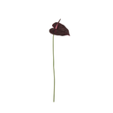 Artificial Anthurium Stem