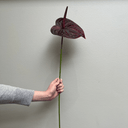 Artificial Anthurium Stem