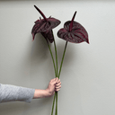 Artificial Anthurium Stem