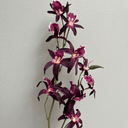Artificial Dendrobium Spray