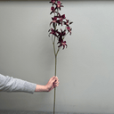 Artificial Dendrobium Spray