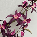 Artificial Dendrobium Spray