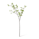Artificial Pittosporum Branch