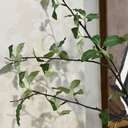 Artificial Pittosporum Branch