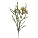 Artificial Berzelia Button Branch