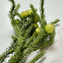 Artificial Berzelia Button Branch
