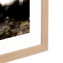 Boathouse Photographic Print