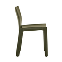 Carlo Dining Chair | Nori