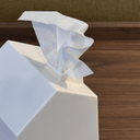 Casa Square Tissue Box Cover | White