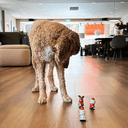 Christmas Racers Wind up Toys