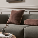 Edward Cushion | Chocolate