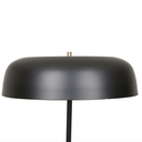 Easton Canopy Floor Lamp | Black