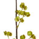 Artificial Elm Seedling Branch | 84cm