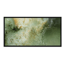 Fern Pano Canvas Framed Print
