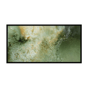 Fern Pano Framed Print
