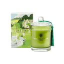 Gin and Tonic Soy Candle