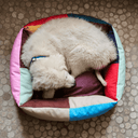 HAY Dog Bed M | Multi