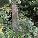 Hokianga Patio Armchair SS | Fern
