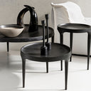 Erico Metal Coffee Table