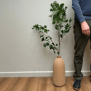 Artificial Gingko Leaf Branch