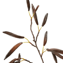 Artificial Kurrajong Seed Pod Stem